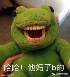  川普落选已成定局小孩子夜哭怎么治三俗侠的大杂烩506
