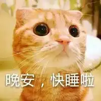  大眼折耳猫文字原创qq表情大全