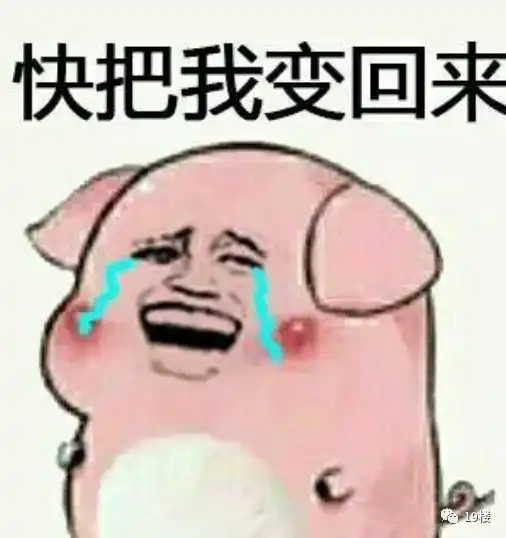  婚姻怕是个养猪场啊老公四年前和现在大对比,哈哈哈
