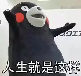  昔日超募之王,如今雨打风吹鞋王奥康的衰落,是温州的衰落吗