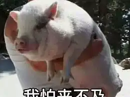  老保的推荐内容zcool