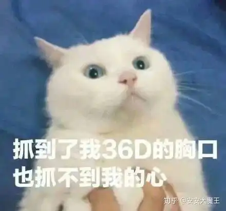  我问个事我照了照片不知道往哪里发怎么办也不能就我自己一个人看吧