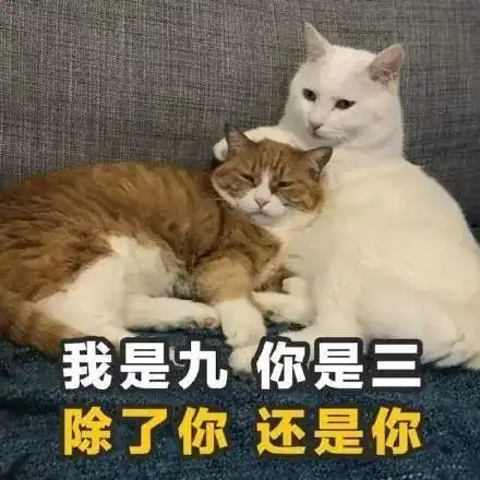 赚钱表情包文字土味情话