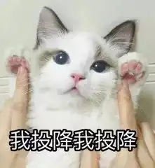  聊城车主的噩梦即将到来给你2本驾照可能都不够扣