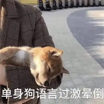  别人14岁就会开车了,我20岁还不敢上路