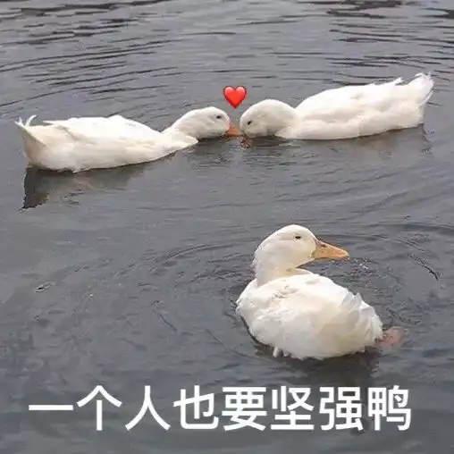 我很坚强表情包鸭鸭