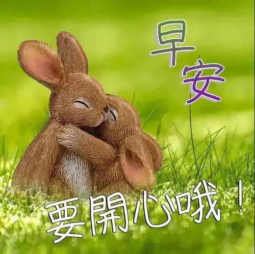  我是要有多勇敢,才敢一直对你念念不忘,早安