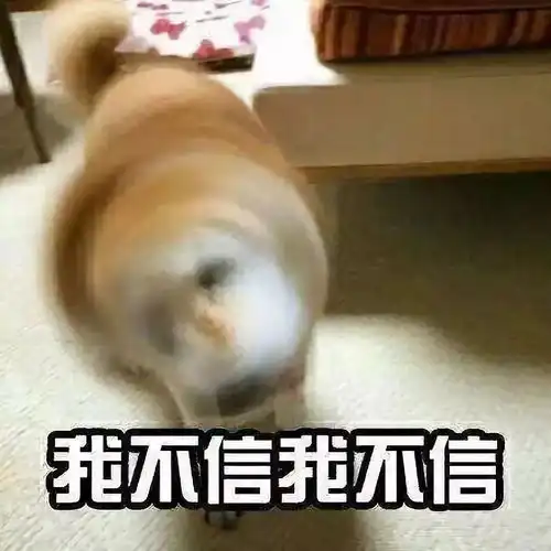 违章表情包管我