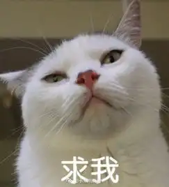  但我还是要发