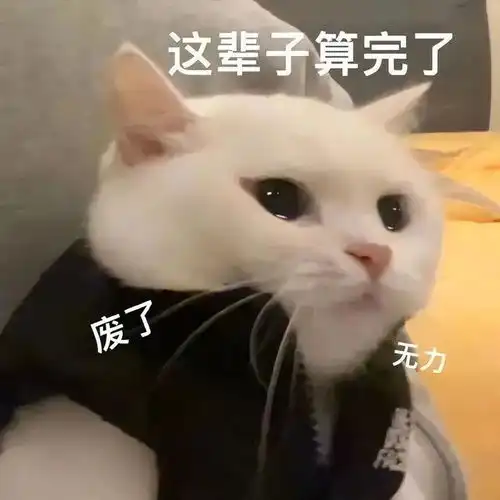  可爱妈咪表情包
