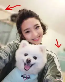 微博单身狗表情包唐艺昕