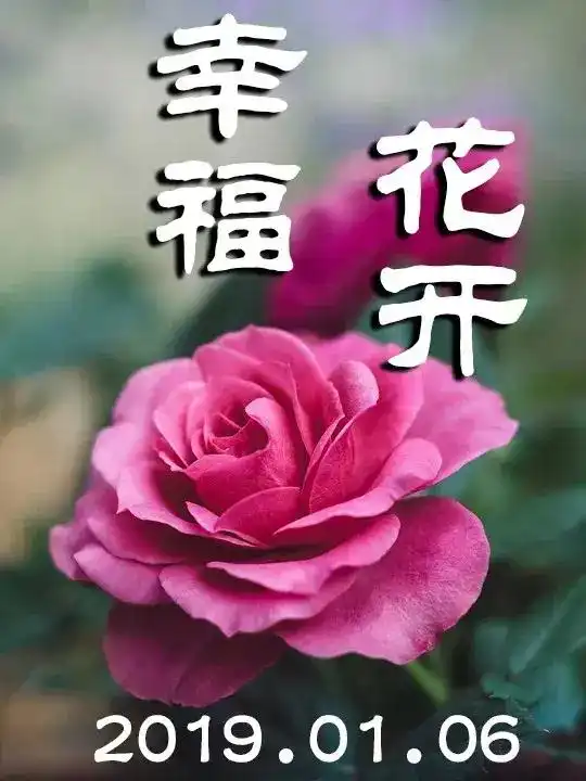 春节祝福语表情包祝福语