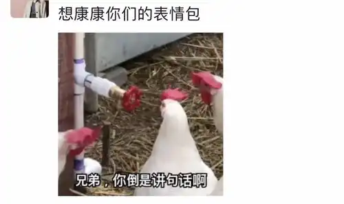  微信朋友圈评论能用表情包斗图啦附安卓系统更新方式