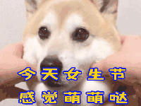 女生节表情包