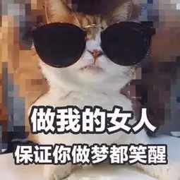  做大哥的女人吗.