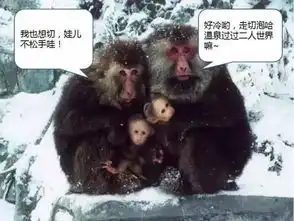  峨眉山给属猴的免票,其他属相可都不干了....
