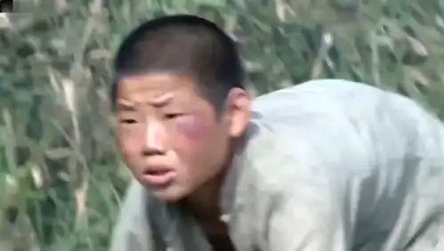  影视下饭吧的主页腾讯网