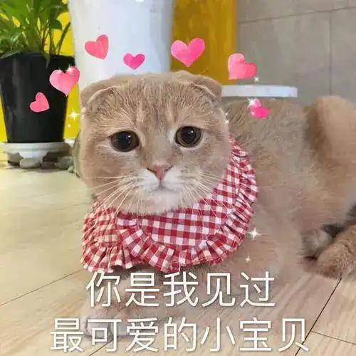  微信表情包上限调至999个,给你运营必备表情包补充库存