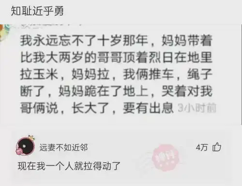  神回复问君能有几多愁,下一句是什么