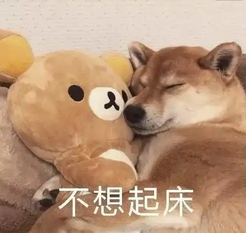 勇敢狗狗不怕困难表情包