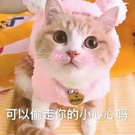 huh猫表情包动图扎心