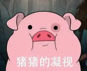  用生命直播猪皮shrug哔哩哔哩直播