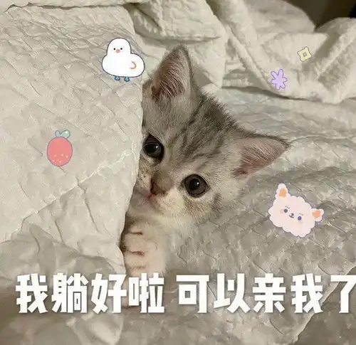  有没有给女朋友亲亲的表情包