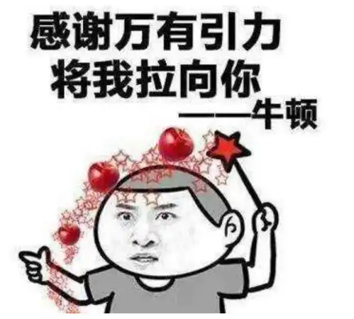  沙雕表情包之强行撩妹土味情话不想闯江湖了,只想闯姑娘的心房