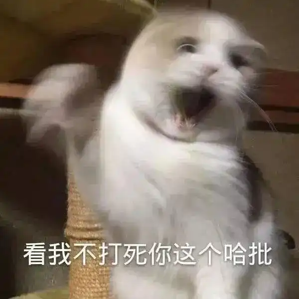  可爱猫猫表情包为了生活,居然沦落至此...