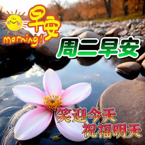  周二早上好最新版漂亮星期二早安祝福语表情图片大全问候语段句子