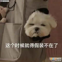  剪刀石头布比心爱心表情包扔骨头出来聊天表情包图片下载乐游网游戏下载