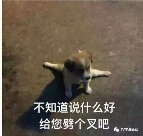 giao个微信表情包微信