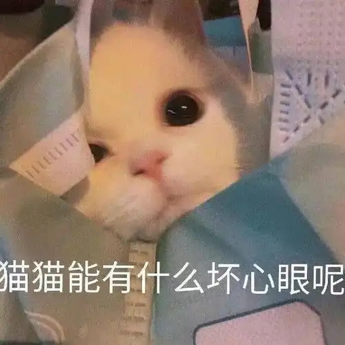  深圳尊宝榴莲披萨