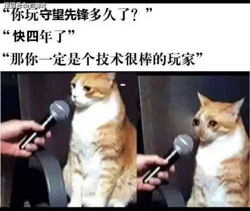  守望先锋相处四年了,用表情包告白520,龙族真的绿吗