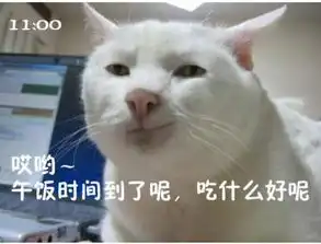 屌丝猫咪演绎上班一天