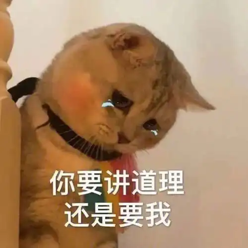  越看越带劲的朋友圈沙雕文案