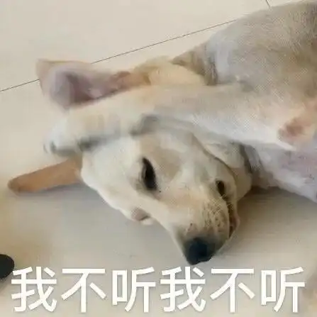  咦,那傻逼人呢