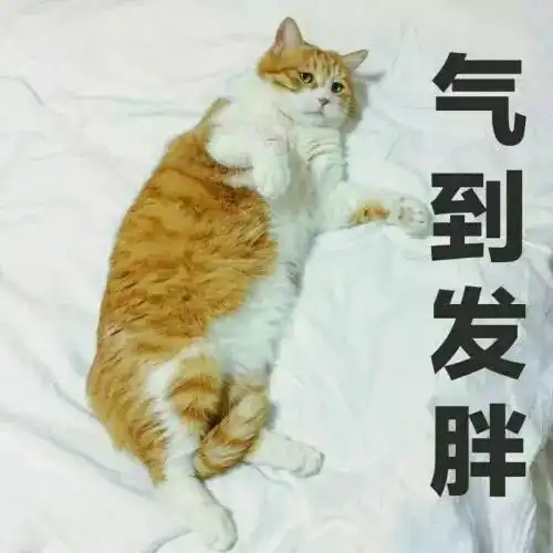  话说国外土地公尤爱巧克力啊国外还有土地公可不,超能吃