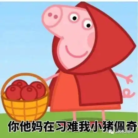 奶油猪kmall表情包小猪
