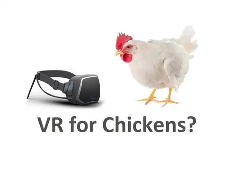  这年头,鸡的生活也不安宁为什么要给我戴vr眼镜