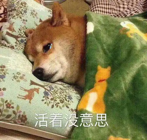  今日大暑收下这份高温天防自燃生存指南