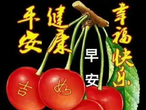  特别可爱漂亮的早上好温暖问候语鲜花图片大全早晨好问候祝福语图片大全带字
