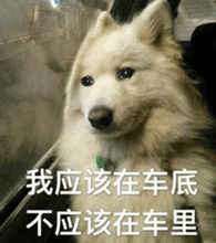  小花系列之北姐施邪术反噬宿敌,花姐遭暗算绝地反击