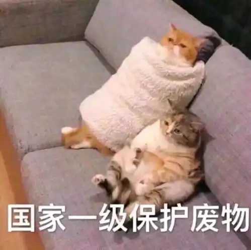  有一个特别污的女朋友是什么样的体验女生减肥原因大揭秘