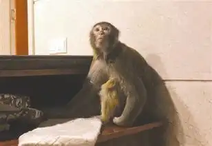  新闻