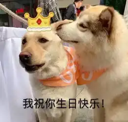  今日表情要亲亲,大口的亲亲