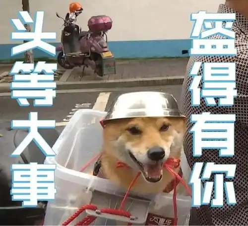 汉中曝光一批未佩戴安全头盔