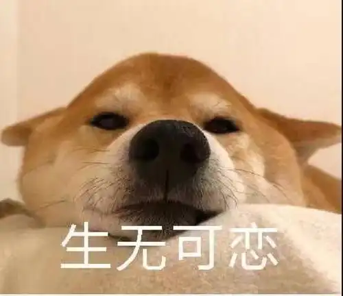  现在书架都不流行平铺在墙上了,倾斜45做隔断,省空间实用漂亮