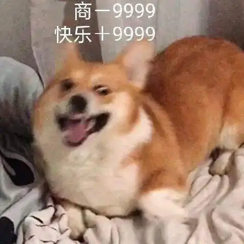  可爱小狗表情包