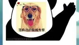  鳖蛋粉评测总结,虎y改正,ts自测脂肪碳水不达标,谷d新包装现原形